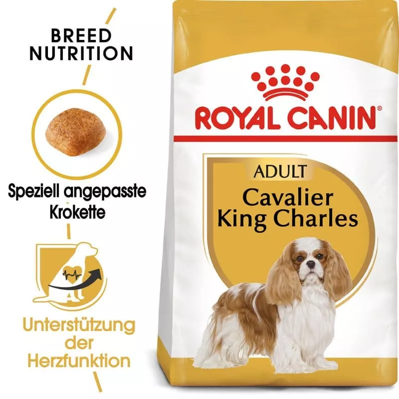 BHN Cavalier K.C. Junior 1.5kg